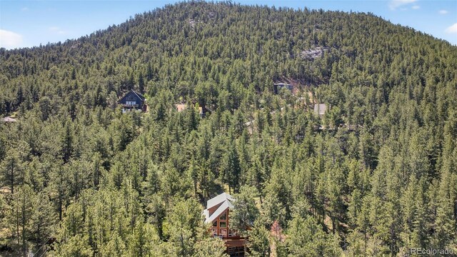 640 Estes Park Estates Dr, Lyons, CO 80540 - photo 42