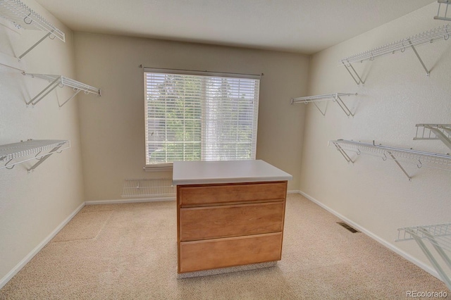 spacious closet with light colored carpet