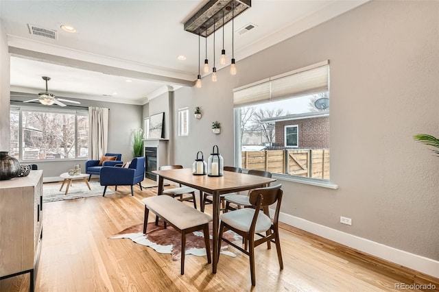 dining area with ceiling fan, ornamental molding, and light hardwood / wood-style flooring