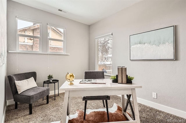 office with a healthy amount of sunlight and carpet floors