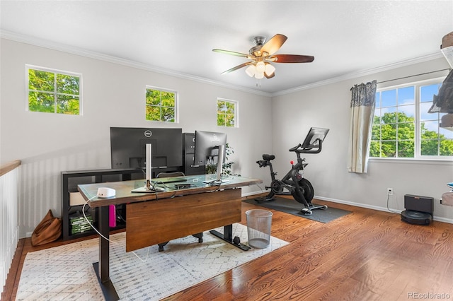14794 Vine St, Thornton, CO 80602 - office area with wood finished floors, healthy amount of natural light, crown molding, and ceiling fan