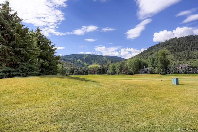 2757 W Riverwalk Cir Unit E, Littleton, CO 80123 - photo 35
