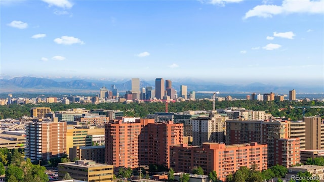 221 S Garfield St Unit 213, Denver, CO 80209 - photo 42