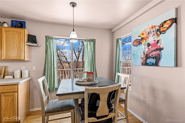25 Tierra Casa Dr, Pueblo, CO 81005 - dining space with light hardwood / wood-style floors