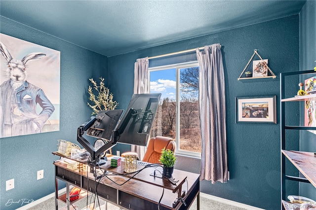 25 Tierra Casa Dr, Pueblo, CO 81005 - home office with carpet floors