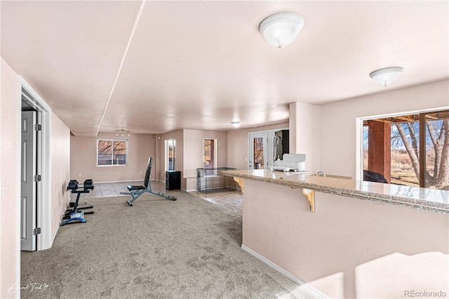 25 Tierra Casa Dr, Pueblo, CO 81005 - exercise area with light colored carpet, a textured ceiling, and a wealth of natural light