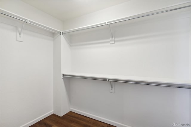 walk in closet with dark wood finished floors
