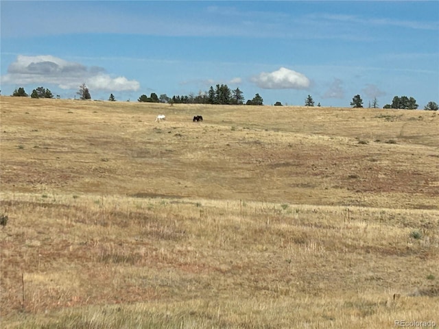 view of local wilderness featuring a rural view