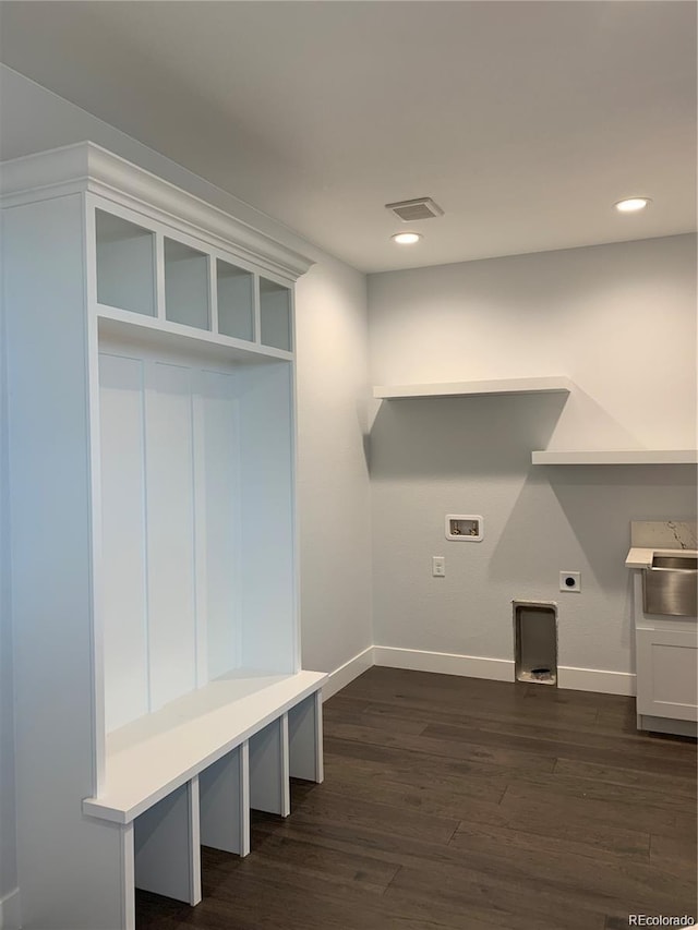 mudroom featuring sink and dark wood-type flooring