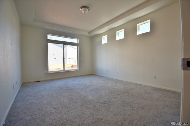 spare room with light colored carpet and a raised ceiling