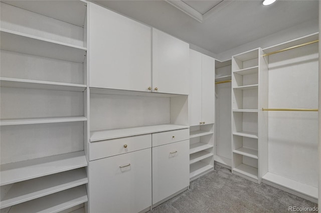 spacious closet with light carpet