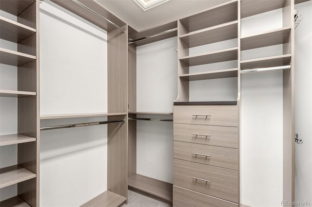 view of spacious closet