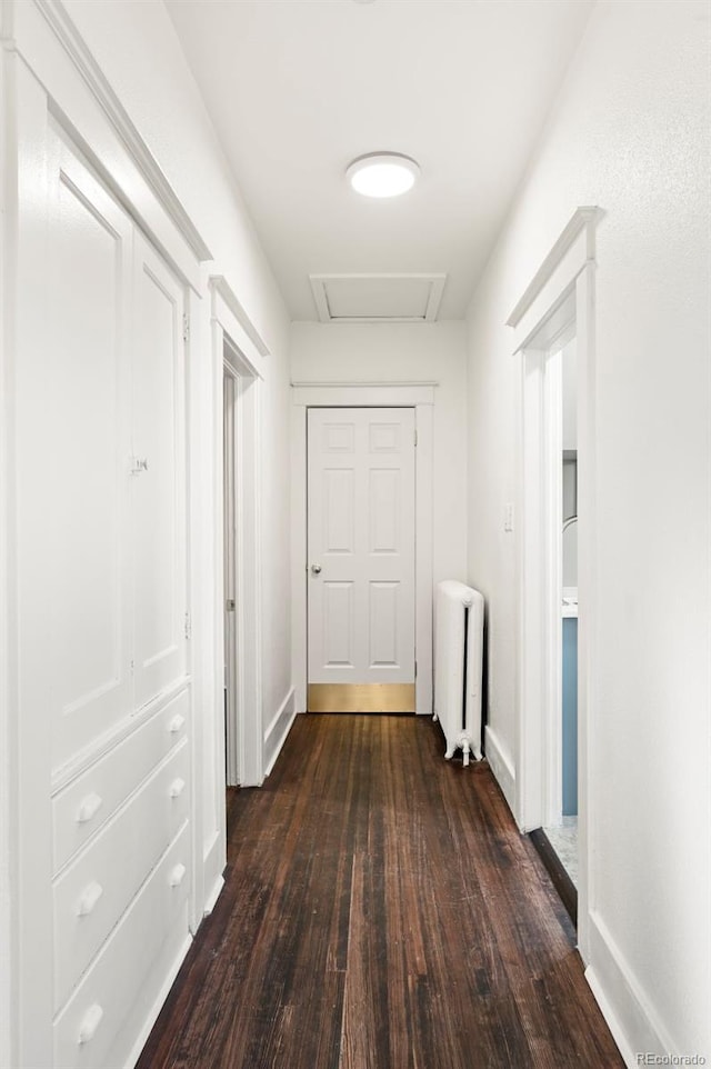 hall with dark hardwood / wood-style flooring and radiator heating unit