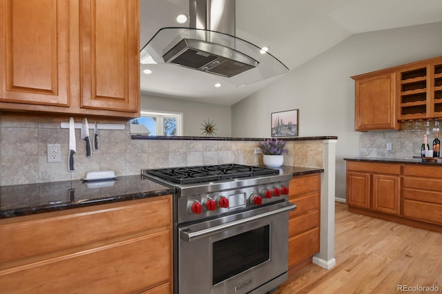 3785 E 134th Ct, Thornton, CO 80241 - kitchen with designer stove, island exhaust hood, vaulted ceiling, light wood finished floors, and decorative backsplash