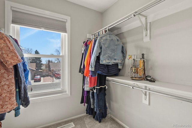 3785 E 134th Ct, Thornton, CO 80241 - spacious closet featuring carpet floors