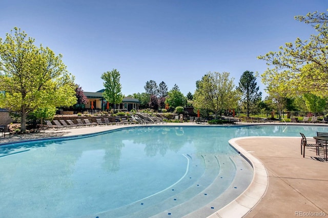 view of community pool