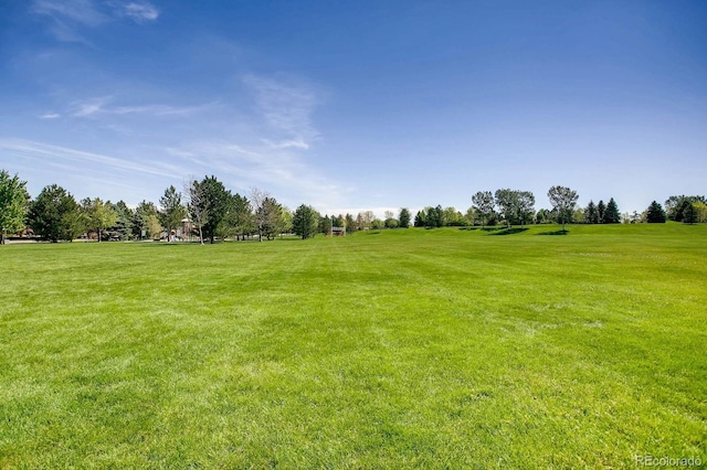 view of green lawn