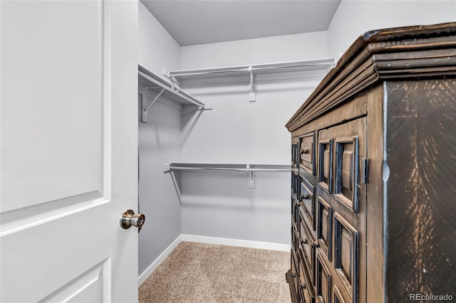 spacious closet with light carpet