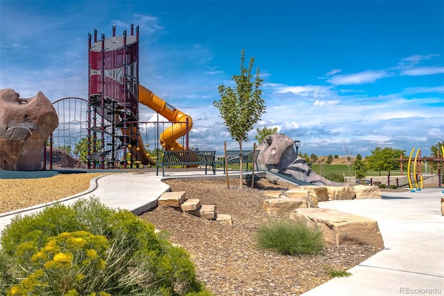 view of jungle gym