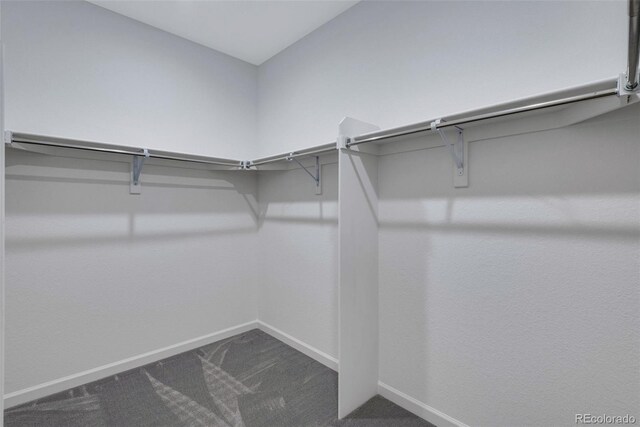 walk in closet featuring dark colored carpet