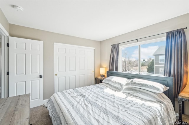 bedroom with a closet and carpet