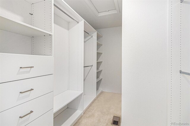 9757 Ash Ln, Thornton, CO 80229 - walk in closet with light colored carpet