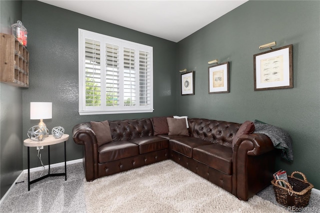 110 Ferriss Ln, Erie, CO 80516 - photo 21