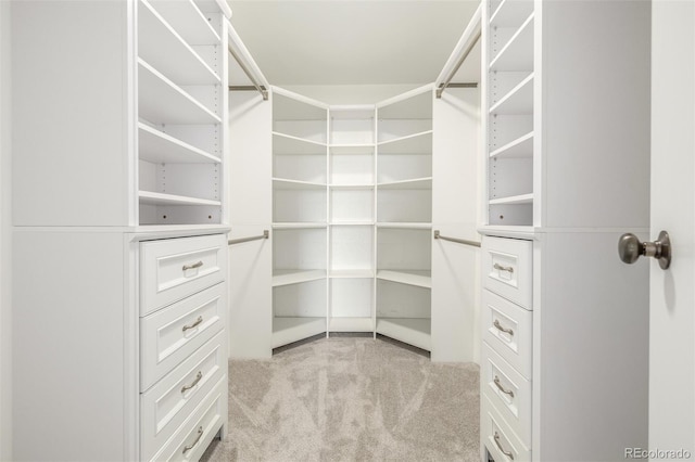 spacious closet with light colored carpet