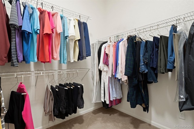 spacious closet with carpet