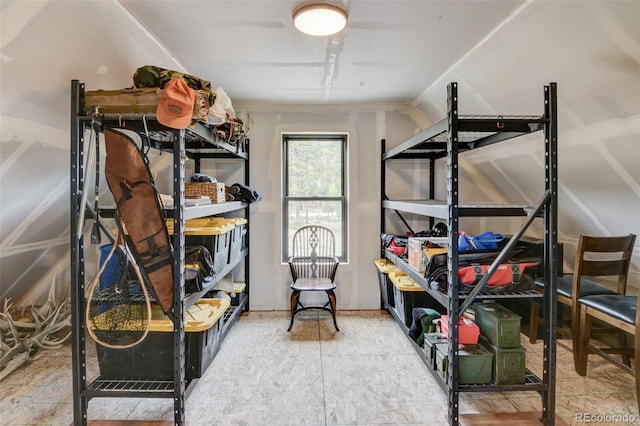30490 Harvard Cir, Buena Vista, CO 81211 - view of storage room
