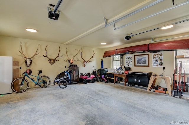 30490 Harvard Cir, Buena Vista, CO 81211 - garage with freestanding refrigerator and a garage door opener