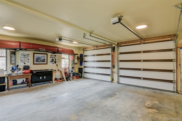 30490 Harvard Cir, Buena Vista, CO 81211 - garage with a garage door opener