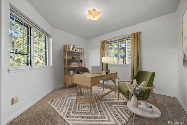 home office with light carpet, a healthy amount of sunlight, and baseboards