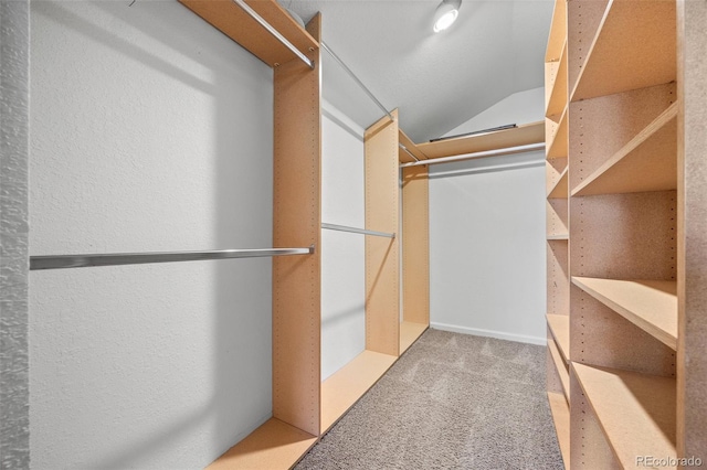 walk in closet featuring carpet and vaulted ceiling