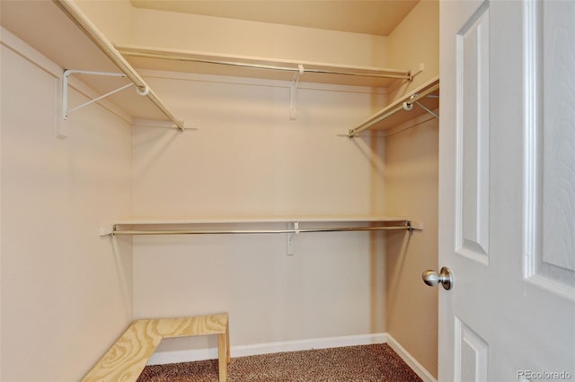 6836 Loudon St, Wellington, CO 80549 - walk in closet with carpet floors