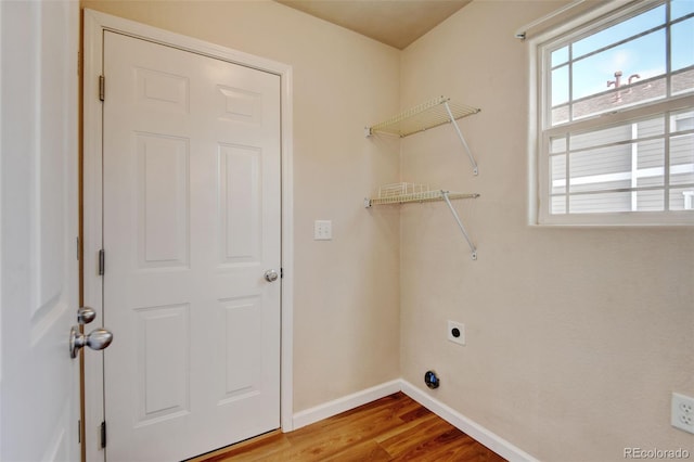 6836 Loudon St, Wellington, CO 80549 - laundry room with plenty of natural light, wood finished floors, and hookup for an electric dryer