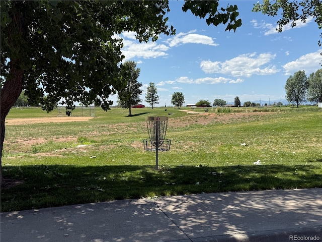 6836 Loudon St, Wellington, CO 80549 - view of green lawn