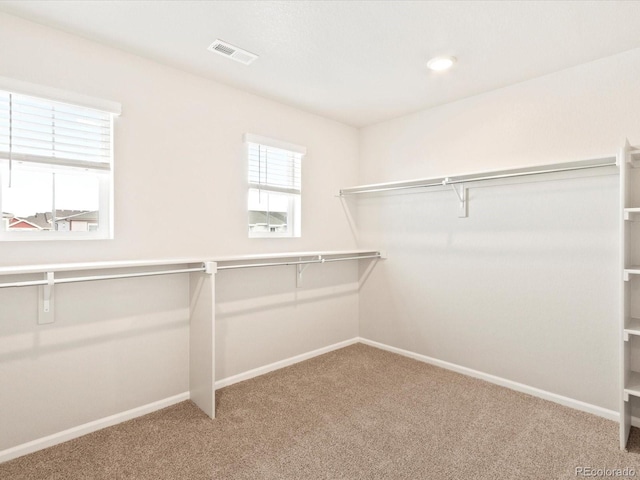 spacious closet with carpet