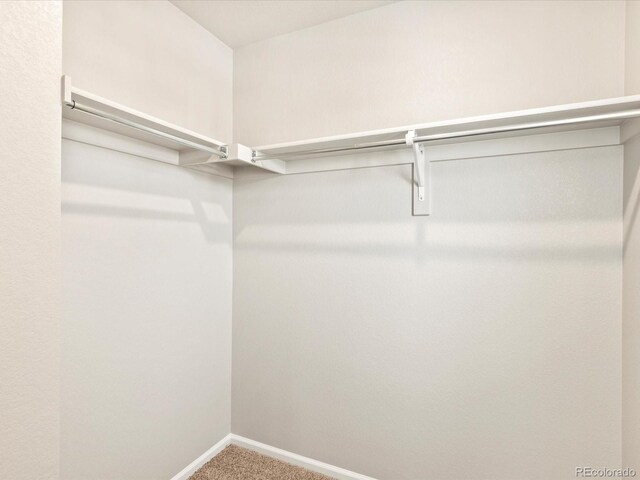 walk in closet with carpet floors