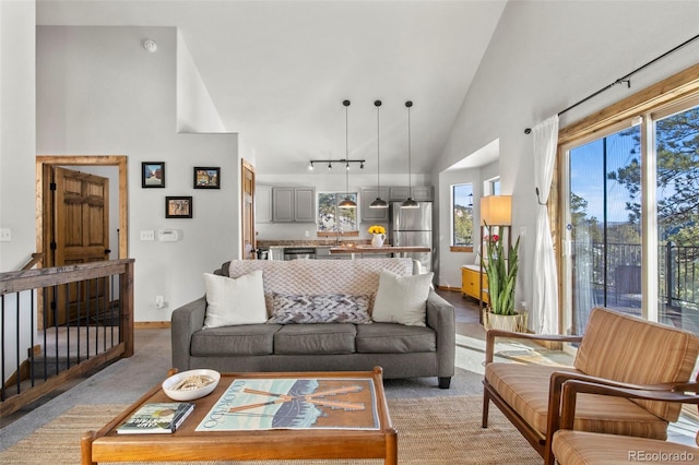 living area featuring high vaulted ceiling, baseboards, light carpet, and track lighting