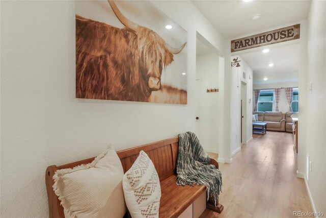 2130 Indian Balsam Dr, Monument, CO 80132 - photo 4
