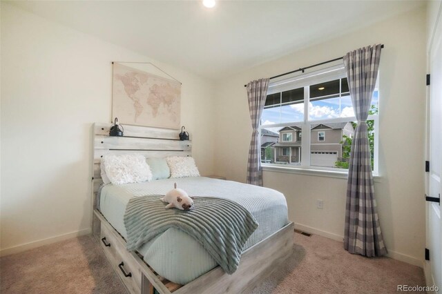 2130 Indian Balsam Dr, Monument, CO 80132 - photo 5