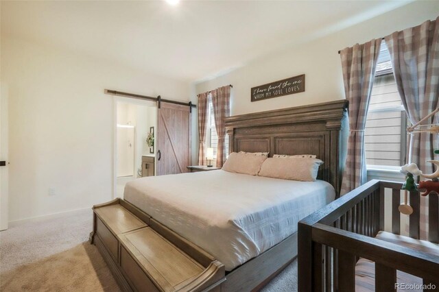 2130 Indian Balsam Dr, Monument, CO 80132 - photo 32