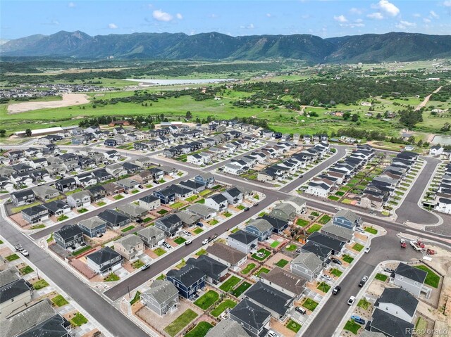 2130 Indian Balsam Dr, Monument, CO 80132 - photo 49