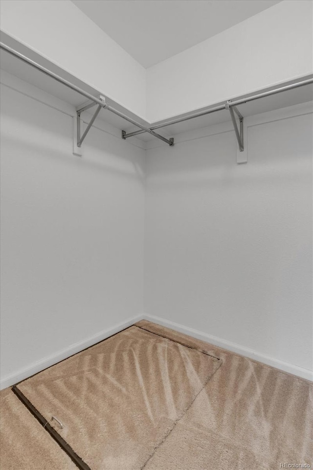 8406 Everett Way Unit C, Arvada, CO 80005 - walk in closet with carpet flooring