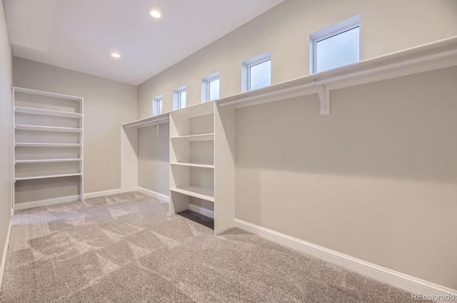 walk in closet with light colored carpet