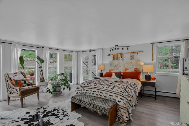 119 Yew Ln, Bailey, CO 80421 - bedroom featuring a baseboard radiator, wood finished floors, multiple windows, and access to outside