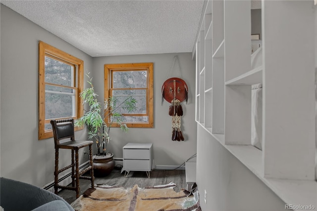 119 Yew Ln, Bailey, CO 80421 - living area with wood finished floors, a textured ceiling, and a baseboard heating unit