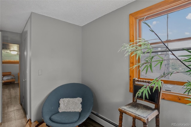 119 Yew Ln, Bailey, CO 80421 - living area with wood finished floors and a textured ceiling