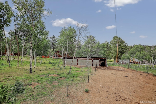 119 Yew Ln, Bailey, CO 80421 - view of yard